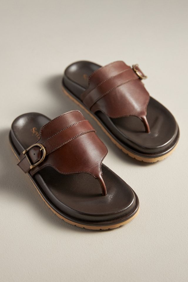 Seychelles Santa Cruz Thong Sandals #1