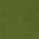 Fern