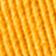 Yankees Gold