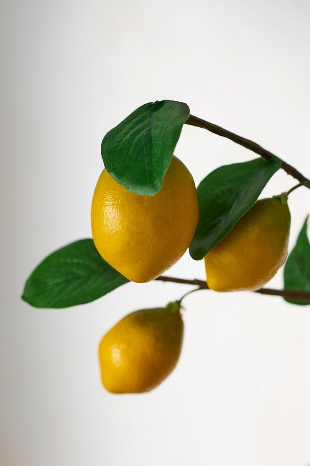 Faux Lemon Spray #1