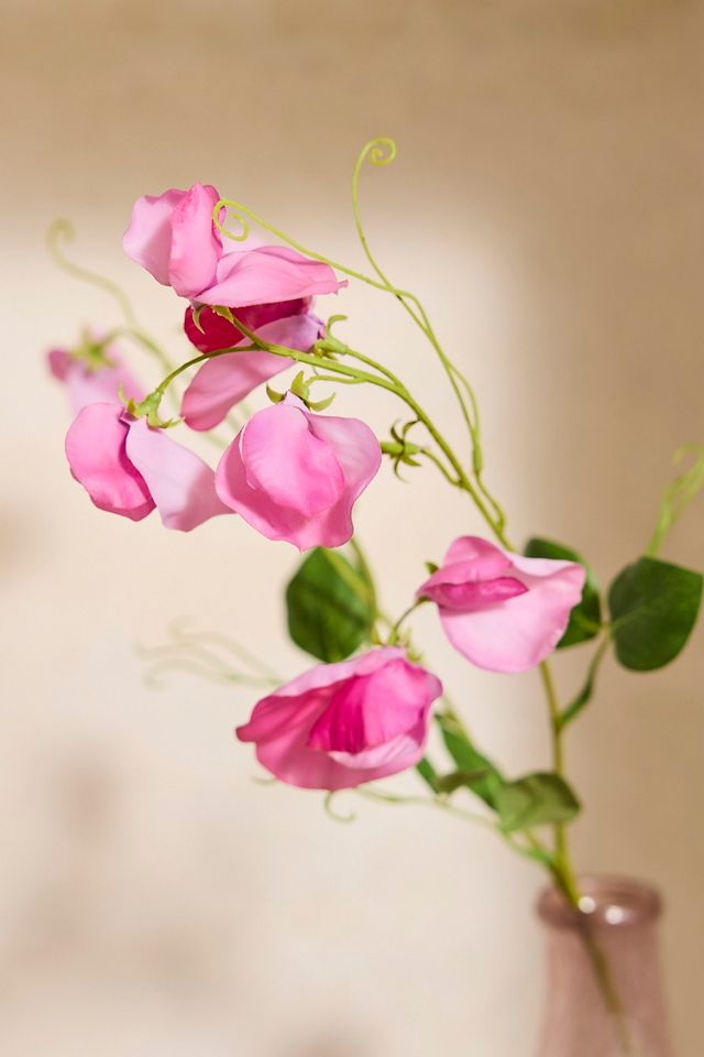 Faux Lathyrus Spray #1