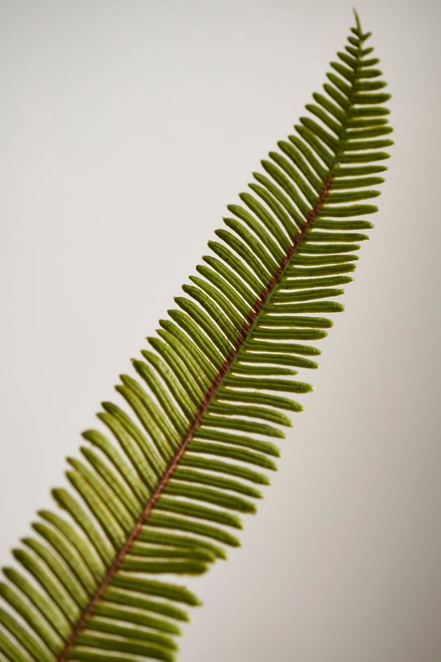 Faux Fern Spray #1