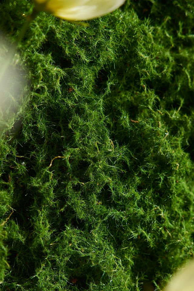 Faux Moss Sheet #1