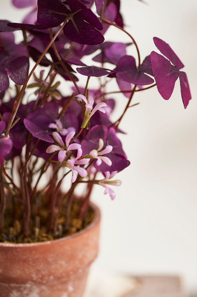 Faux Clover Plant #1