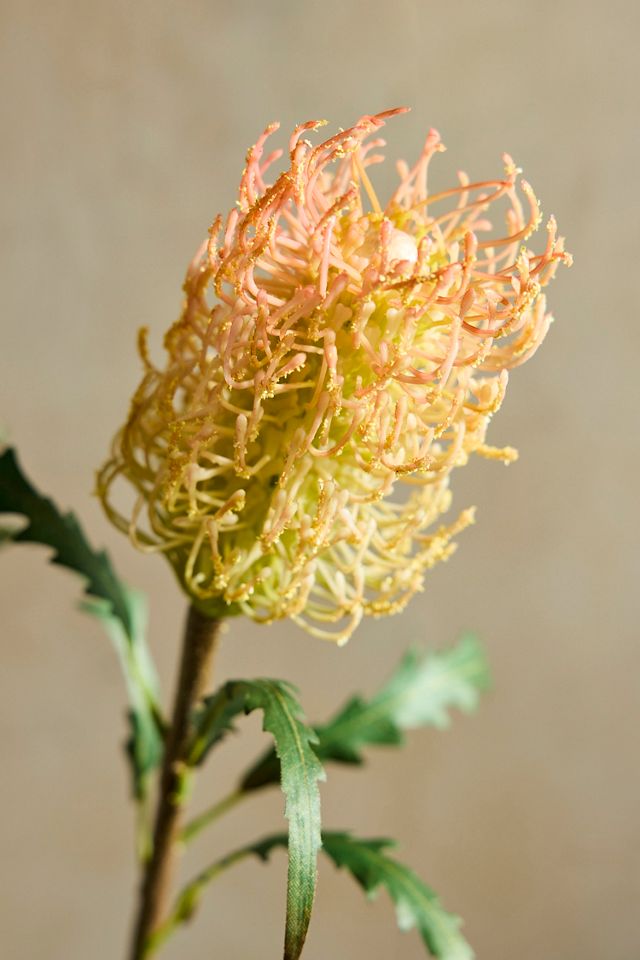 Faux Protea Spray #2