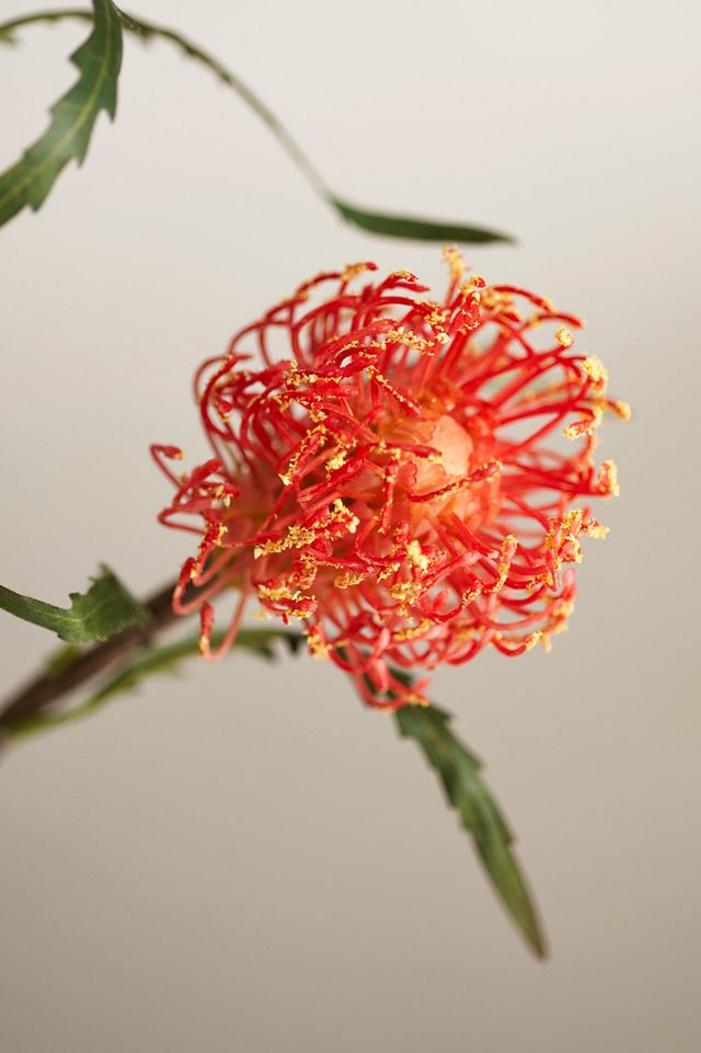 Faux Protea Spray #1