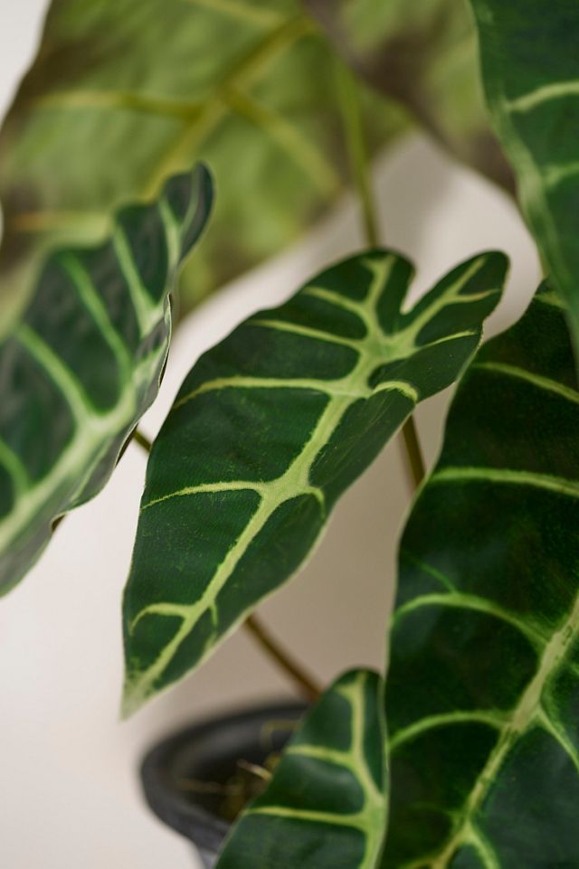 Faux Alocasia Bush #1