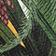 Botanical Pattern