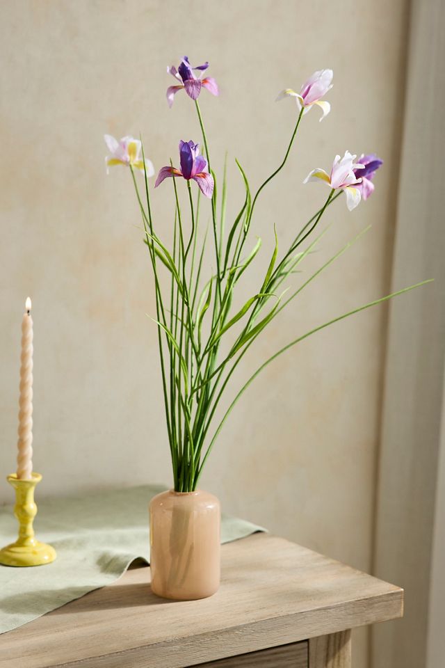 Faux Iris Spray #2