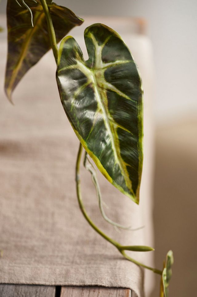 Faux Alocasia Spray #1