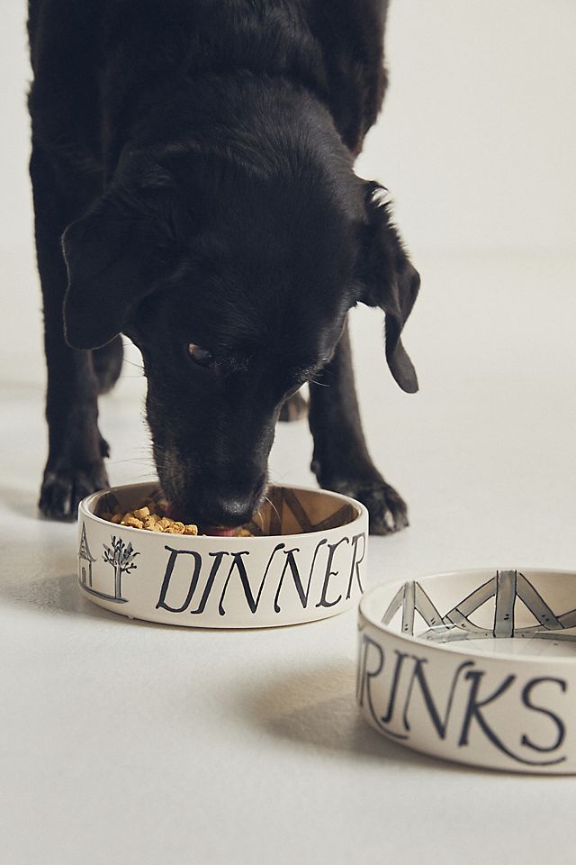 Pet Bowl Dinner And Drinks Terra Cotta Small (Set Of 2 Pet Bowl Dinner And Drinks Terra Cotta Small (Set Of 2