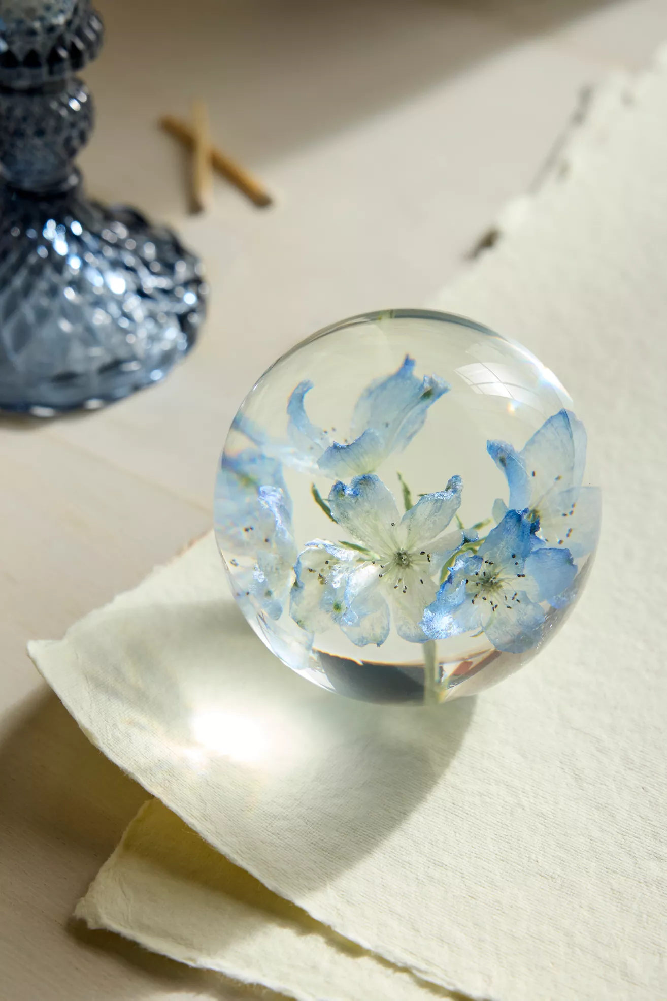 Botanical Resin Paperweight - thumbnail 7