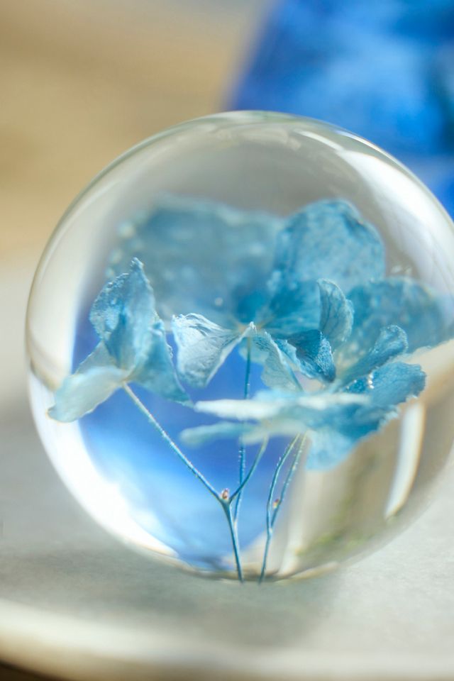 Botanical Resin Paperweight #1