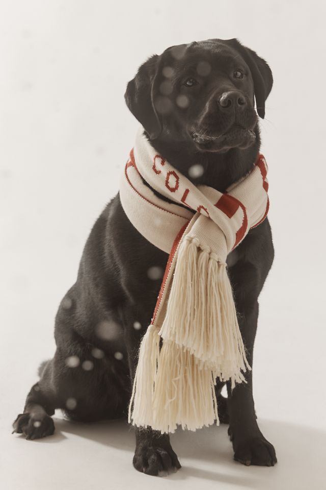 By Anthropologie Ski Scarf #2