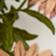 Green Pattern
