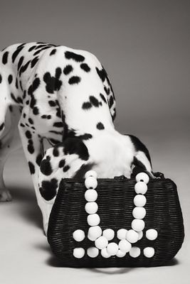 Bali Beaded Straw Satchel