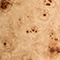 Light Burl
