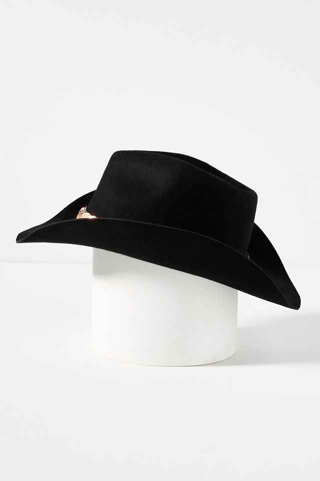 Western Metal Trim Rancher #2
