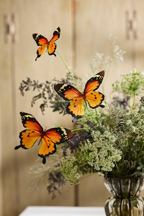 Butterfly Stem