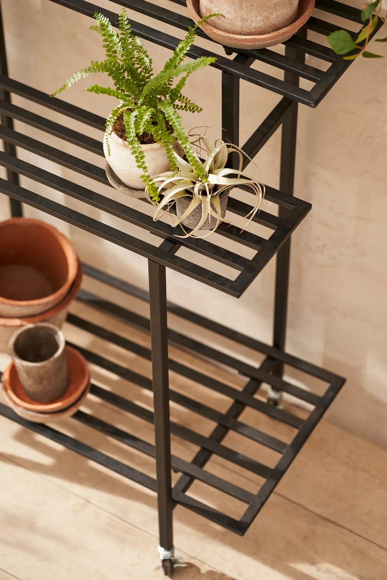 Rolling Iron Shelf Plant Stand - thumbnail 3