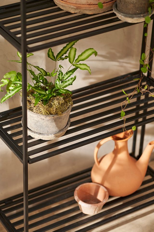 Folding Bookshelf Plant Stand #1