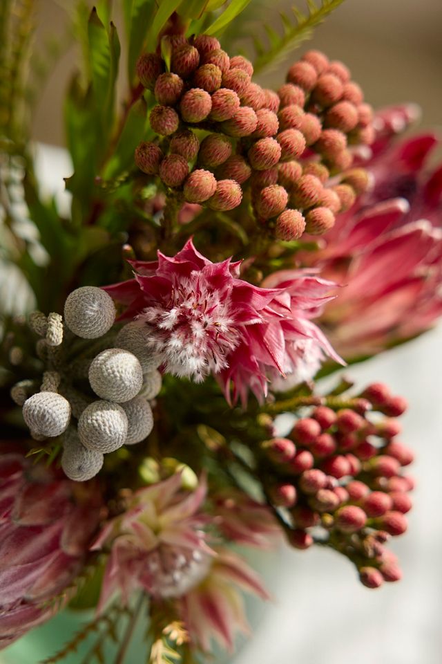Fresh Protea Bouquet #3
