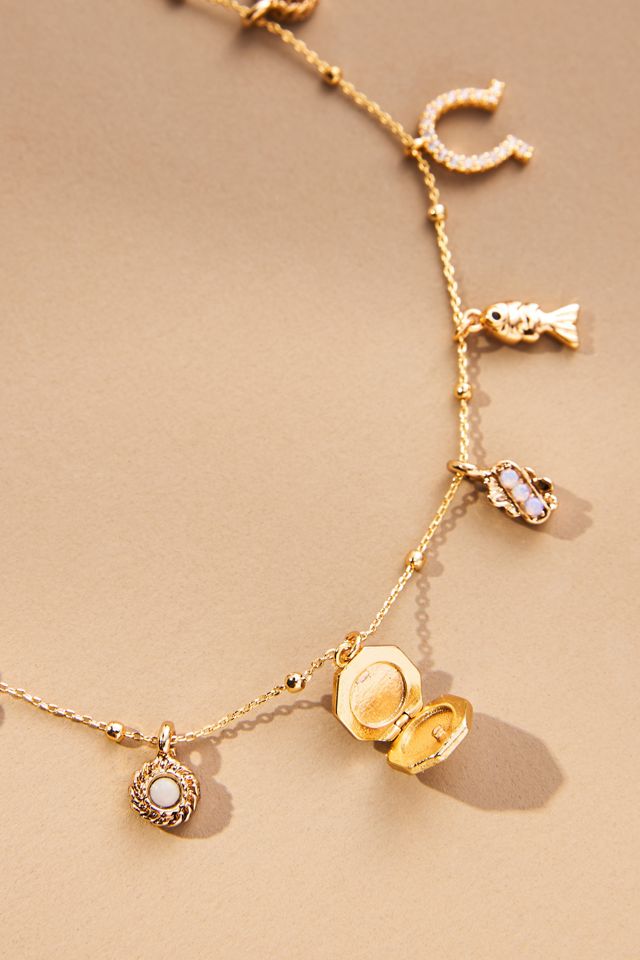 Good Fortune Charm Necklace #3