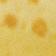 Lemon 5" X 7"