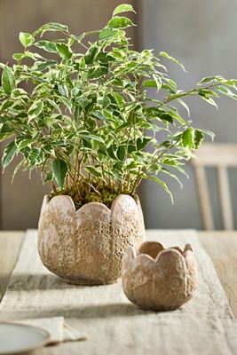 Rounded Leaves Ceramic Planter