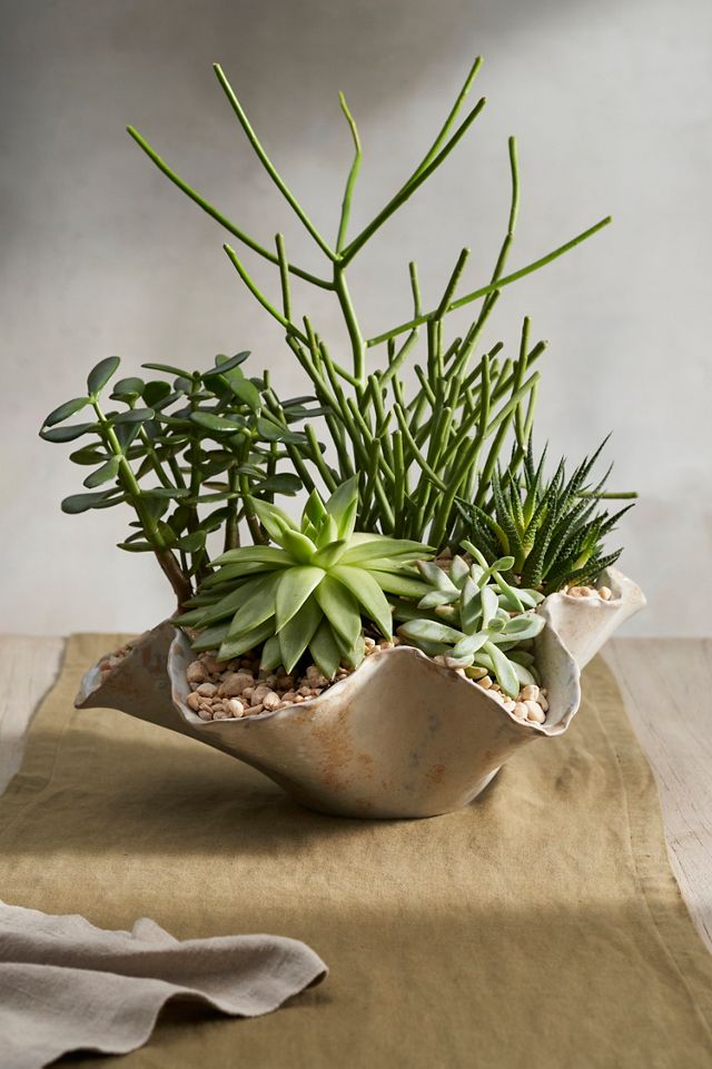 Tidal Ceramic Bowl Planter #1