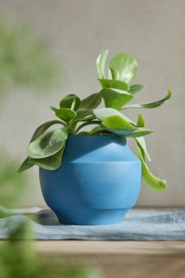 Nia Ceramic Planter
