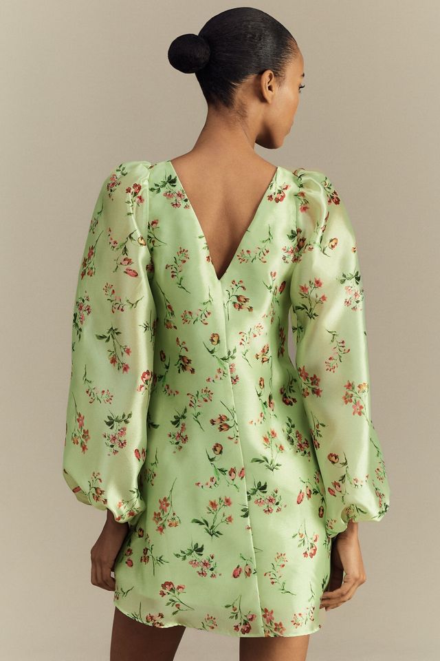 BHLDN Samantha Long-Sleeve Organza Mini Dress #1