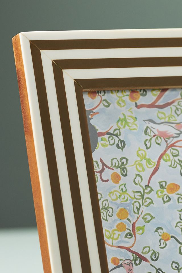 Striped Resin Frame #2