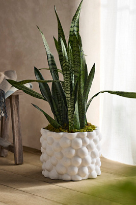 Terrain Bubbles Ceramic Cylinder Planter
