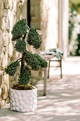 Bubbles Ceramic Cylinder Planter