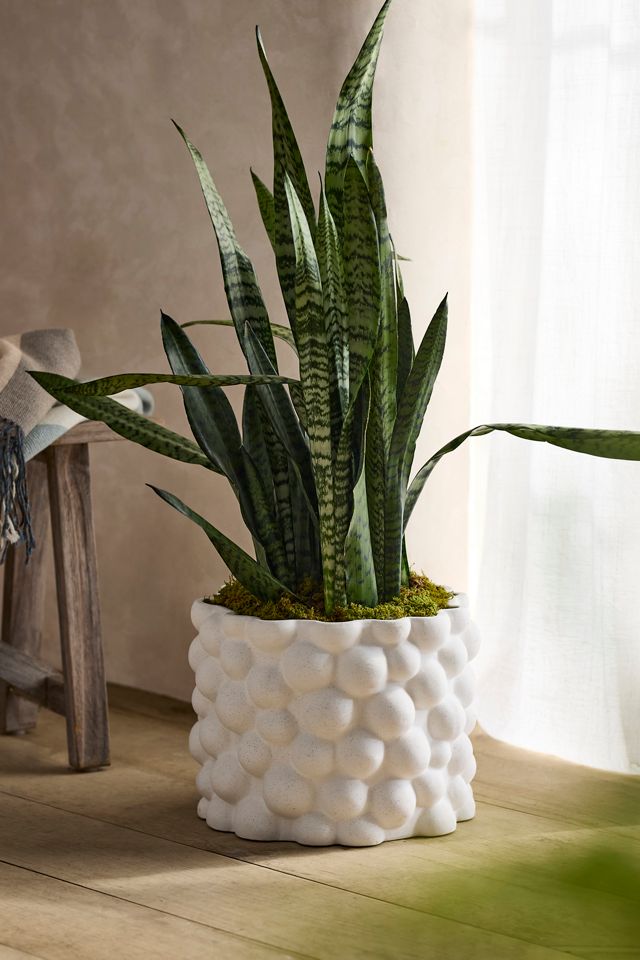 Bubbles Ceramic Cylinder Planter #1