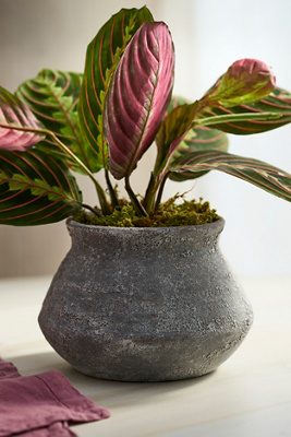 Terrain Buckled Jar Stoneware Planter