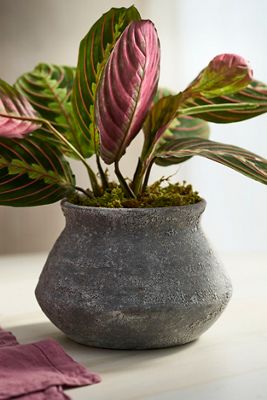 Buckled Jar Stoneware Planter