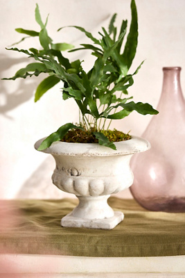 Terrain Aged Terracotta Urn