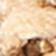 Neutral Pattern