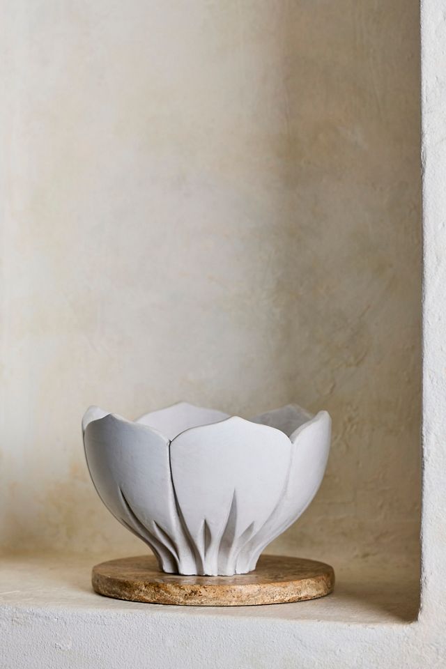 Floral Bowl Cement Planter #2
