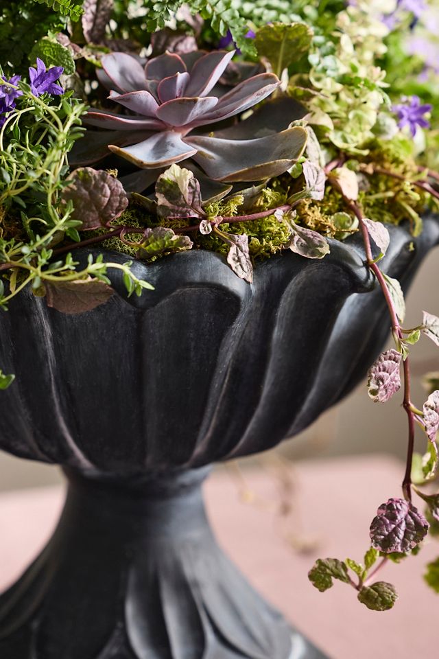 Flora Concrete Urn #1