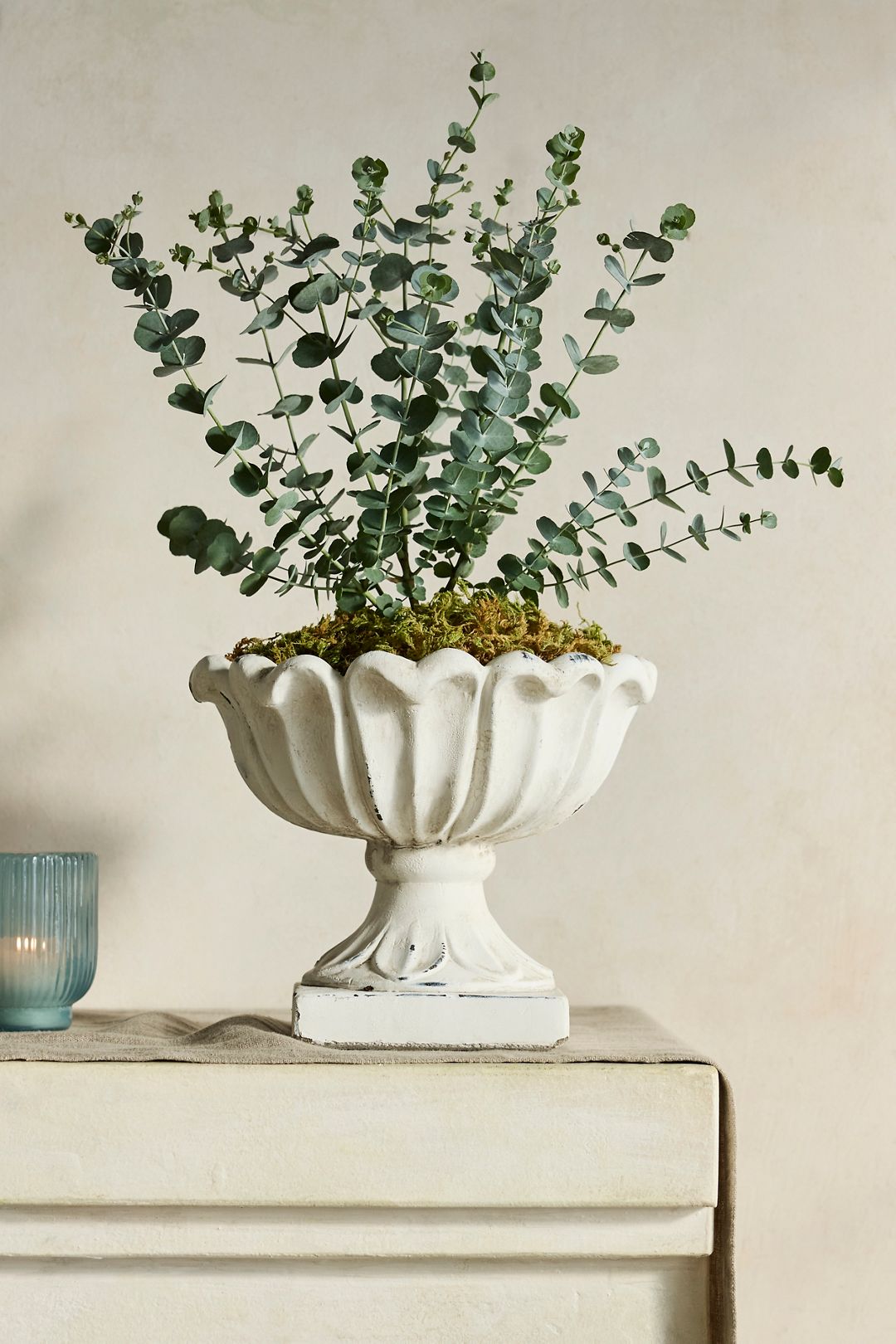 Flora Concrete Urn - Ivory, Standard, 9"