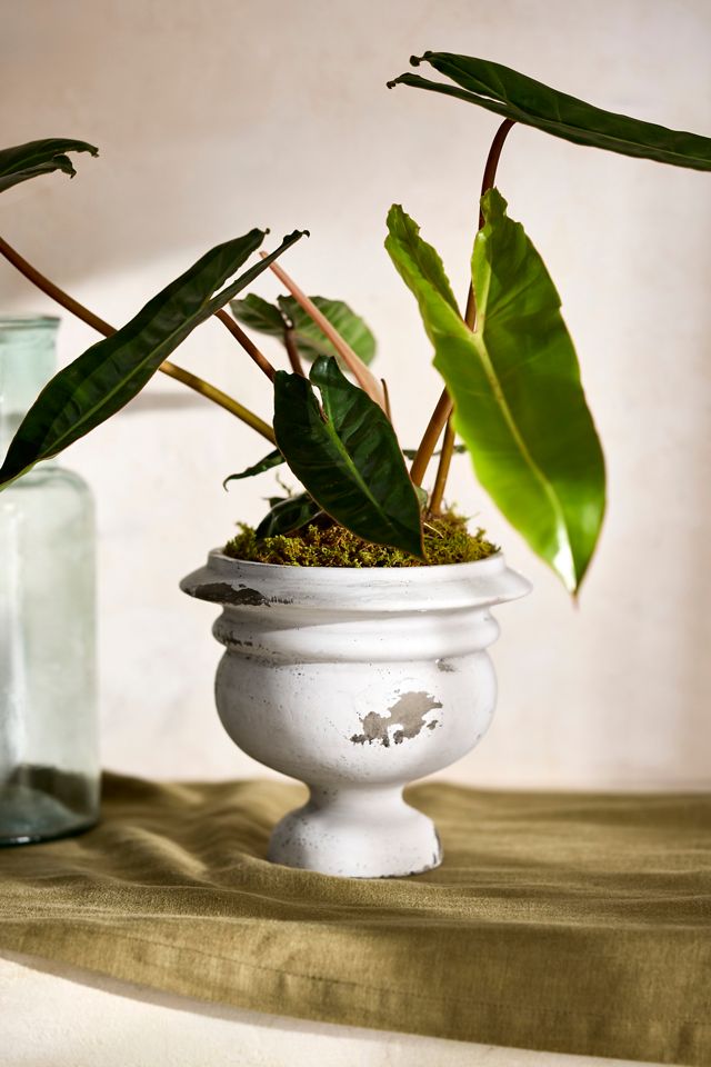 Weathered Mid-Century Cement Urn #1