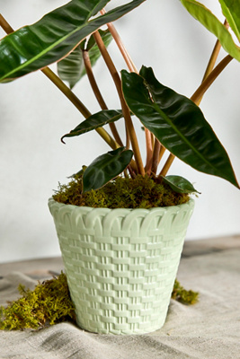 Terrain Scalloped Lattice Ceramic Taper Pot