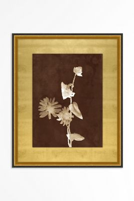 Botanist Study 1 Wall Art