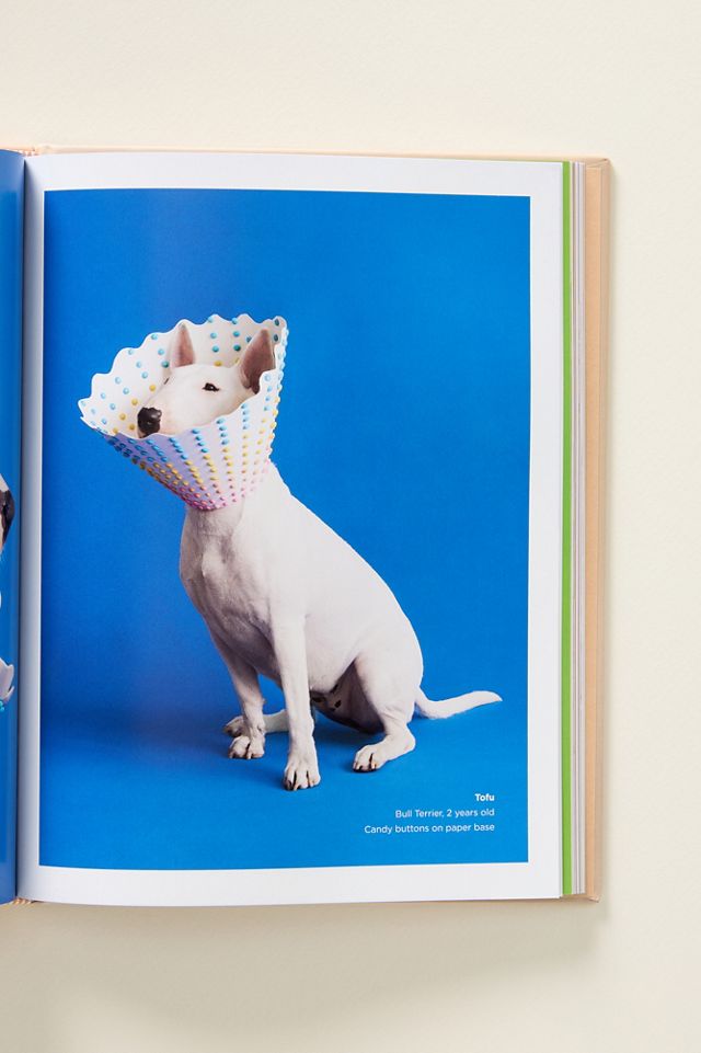 Cone of Shame Dog Hardcover Book #2