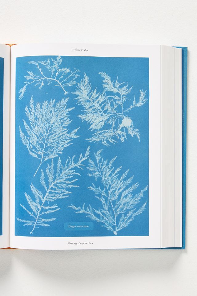 Anna Atkins: Cyanotypes #1