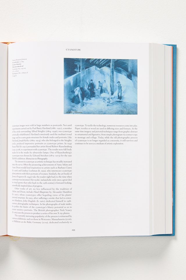 Anna Atkins: Cyanotypes #2