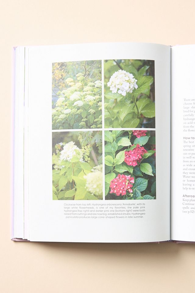 The Money-Saving Gardener Hardcover Book #2